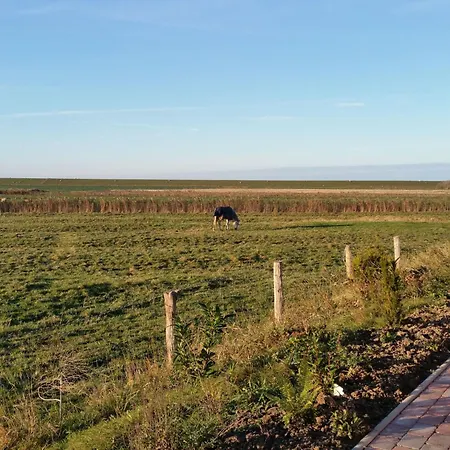 Holidays By Interhome