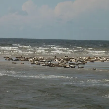 Holidays By Interhome * Pellworm