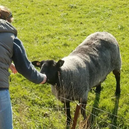 Holidays By Interhome