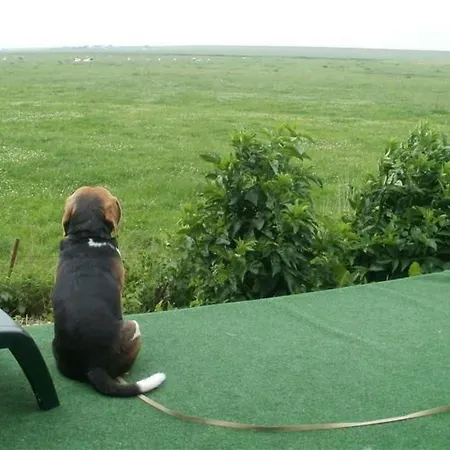 Holidays By Interhome * Pellworm