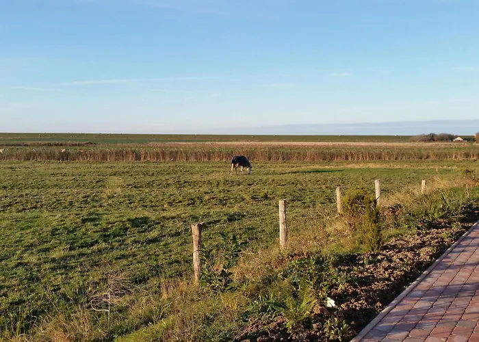 Holidays By Interhome