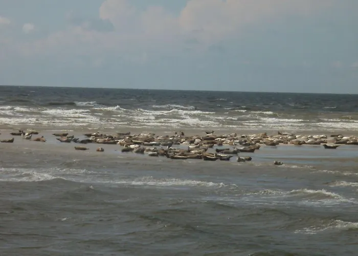 Holidays By Interhome * Pellworm