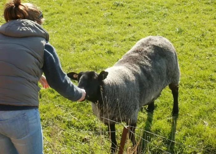 Holidays By Interhome