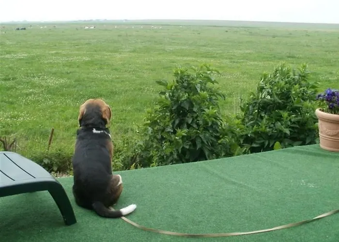 Holidays By Interhome * Pellworm