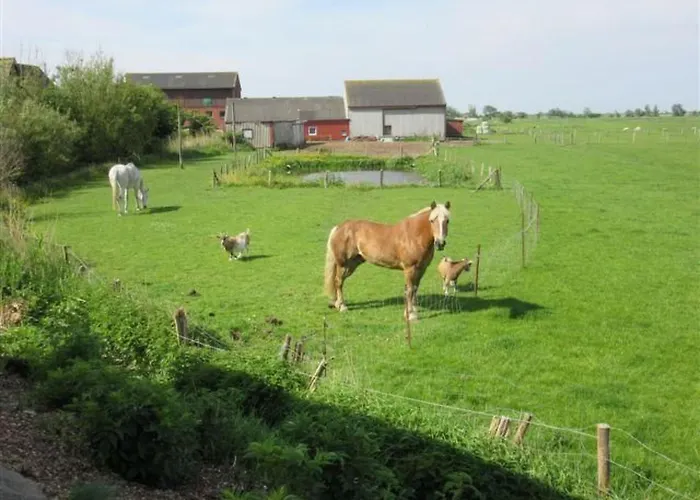 Holidays By Interhome Lägenhet *